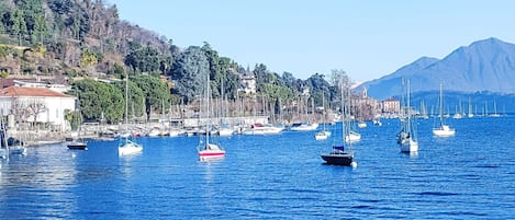 مارينا