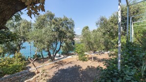 A garden with trees and a view of the sea. - Perfect Beachfront Getaway Ideal for Families (Seget)