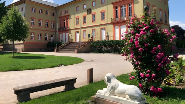 A multi-story building with a symmetrical facade, a central staircase, and a statue of a lion. - Apartment 'Schlosspark 1' with Wi-Fi (Worms)