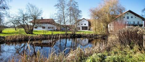 المنطقة المحيطة بالمنشأة