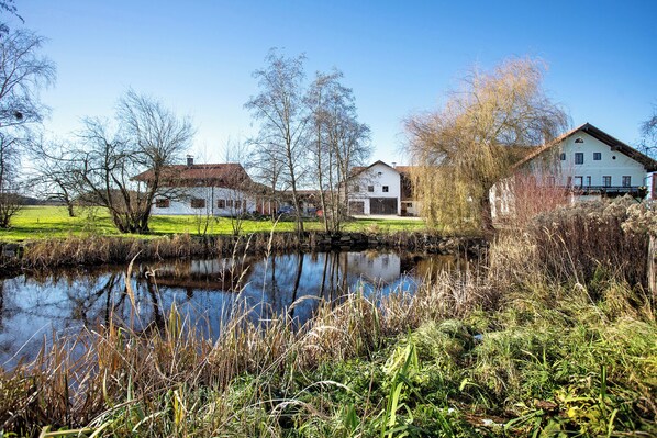 Jardines del alojamiento