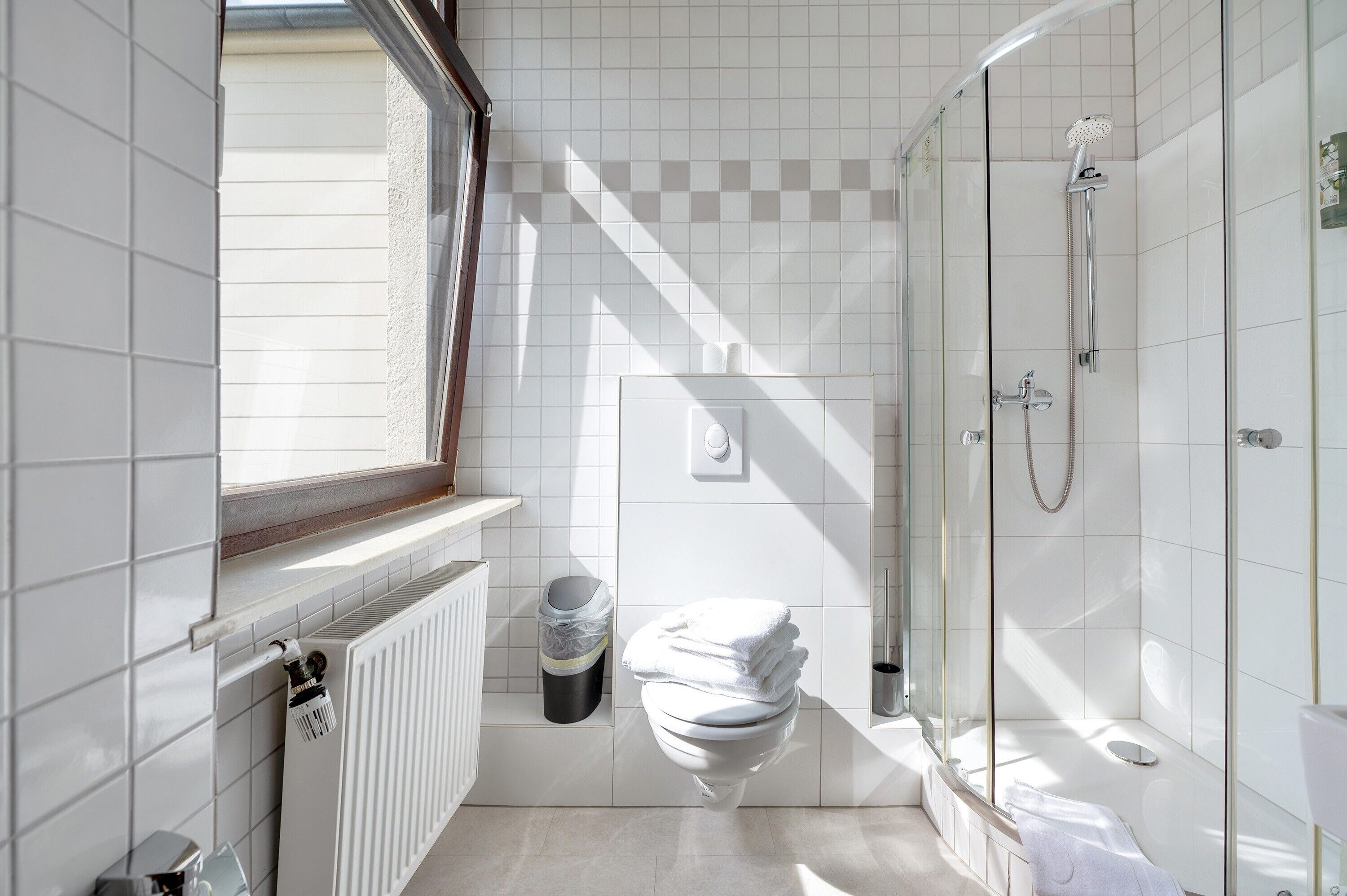 Shower, hair dryer, towels