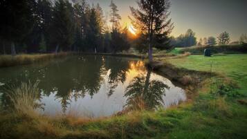 A pond surrounded by trees and grass.