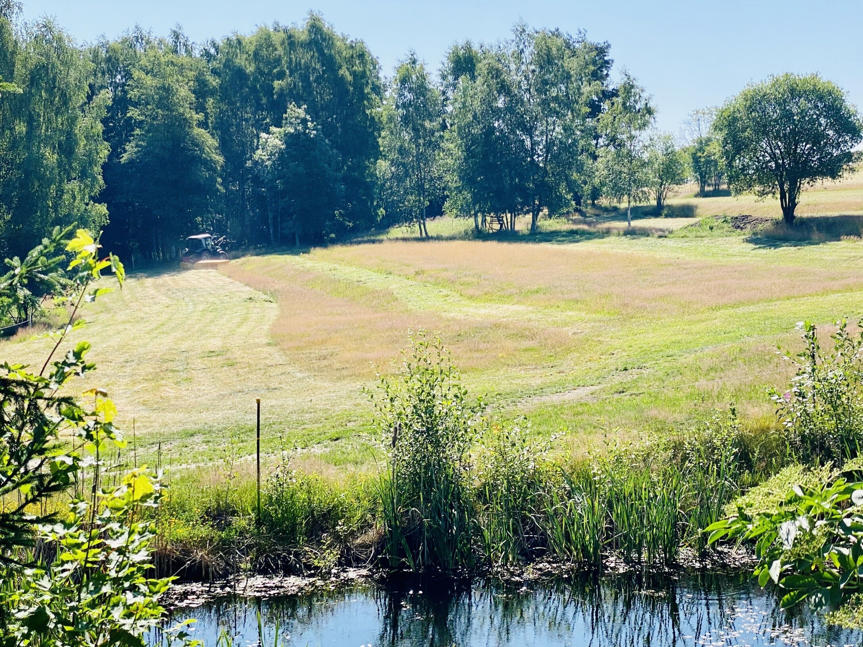 A rural landscape with a pond, grassy fields, and trees.