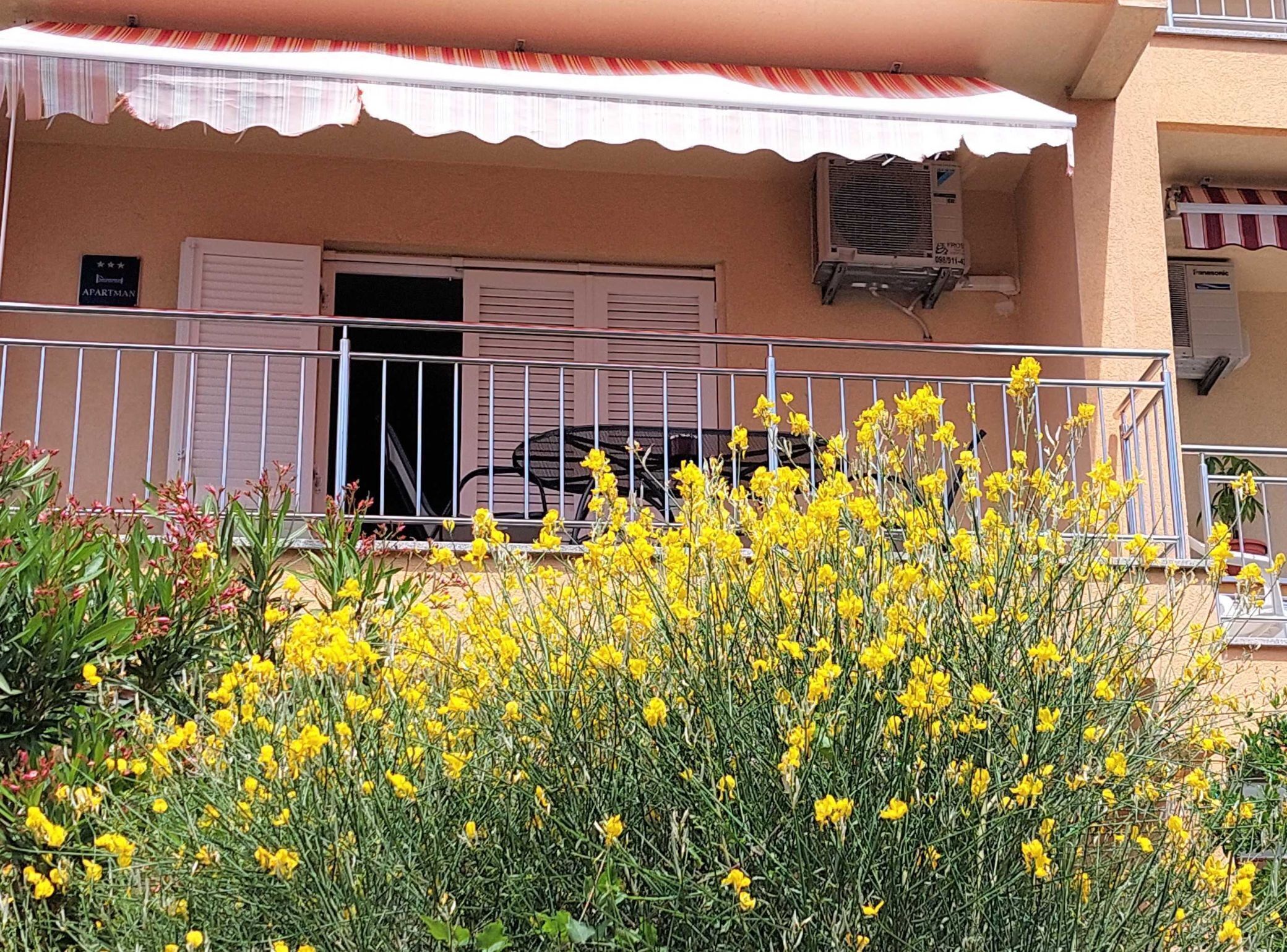 Appartement (One Bedroom Apartment with Balcony) | Extérieur