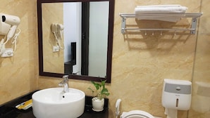 Une salle de bain avec un lavabo blanc, un miroir, un sèche-cheveux, un porte-serviettes, une petite plante en pot, un distributeur de papier toilette et un distributeur de savon.