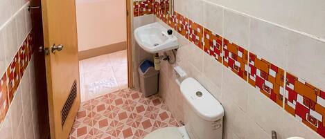 Een kleine badkamer met toilet, wastafel en douche.