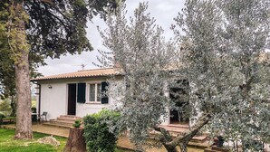 Una casa blanca con techo de tejas, un porche delantero y un jardín cuidado con olivos y un camino de ladrillos.