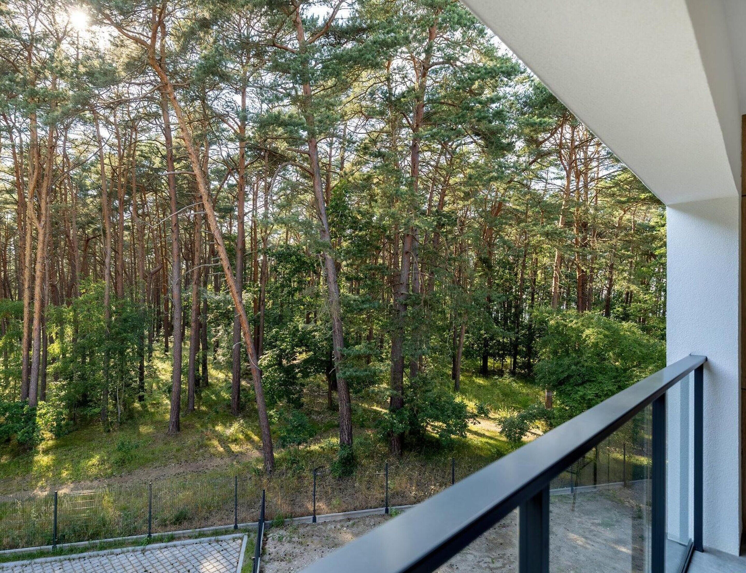 A balcony with a view of a dense forest.