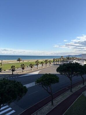 Beach/ocean view - St Cyprien, feet in the water (Saint-Cyprien)
