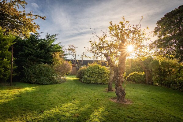 A well-maintained garden with a variety of trees and shrubs, a clear pathway, and a building in the background. - Ness on the Lane • Hot Tub • 5 Super King Bedrooms (Inverness)