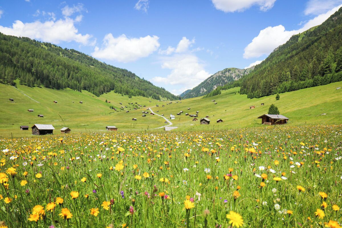Ländliche Landschaft mit grünen Feldern, verstreuten Häusern und blauem Himmel.