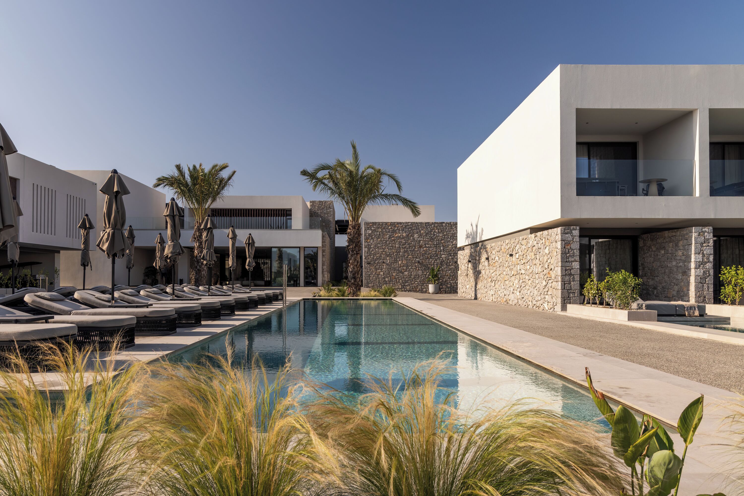 A modern pool area with lounge chairs, palm trees, and a stone wall.