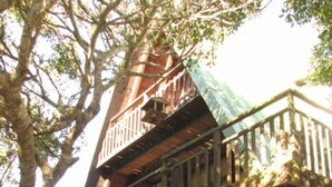 Une maison en bois avec un balcon, un escalier et un grand arbre en arrière-plan.