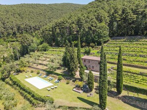 A villa with a swimming pool, surrounded by a vineyard and tall cypress trees.