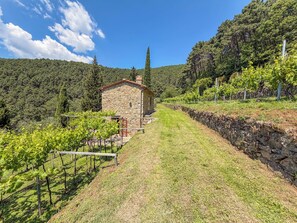 Exterior - 2 houses with private pool 20km from Pisa, Lucca and 30 from the sea (Toscana)