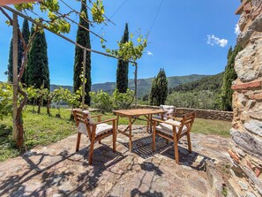 Outdoor dining - 2 houses with private pool 20km from Pisa, Lucca and 30 from the sea (Toscana)