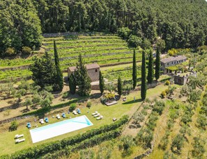 A vineyard with terraced rows, stone buildings, and a swimming pool with sun loungers. - 2 houses with private pool 20km from Pisa, Lucca and 30 from the sea (Toscana)