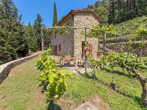 Outdoor dining - 2 houses with private pool 20km from Pisa, Lucca and 30 from the sea (Toscana)