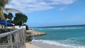 Ein Strand mit einer Holztreppe, die zum Ufer führt, einer Palme und einem klaren, blauen Himmel.