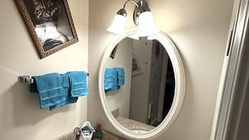 Shower, hair dryer, towels