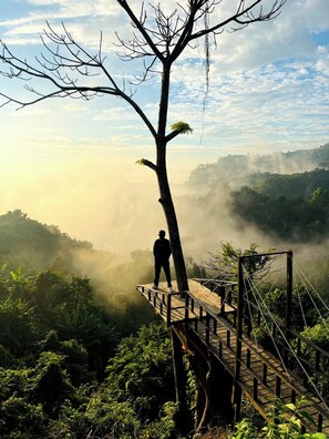 Una persona de pie sobre un puente de madera, con vistas a un bosque brumoso y colinas.