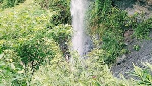 Une cascade se déversant le long d’une falaise rocheuse, entourée d’une végétation luxuriante.