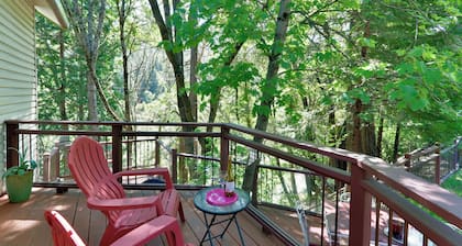 TreeTop Cottage in the trees overlooking the river