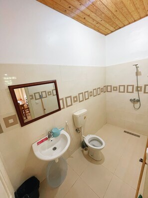 Dusche, Handtücher, Seife, Toilettenpapier