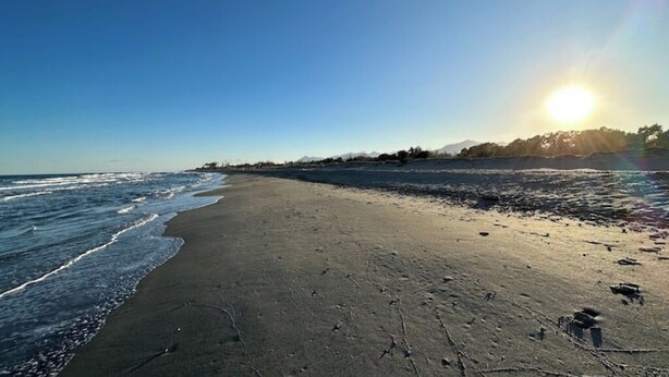 Ein Strand mit klarem Himmel und tiefstehender Sonne.