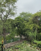 A bridge with a metal railing, surrounded by dense greenery and trees.