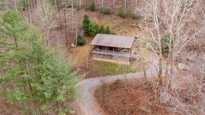 Een chalet met een veranda, omgeven door dicht bos en een kronkelend pad.