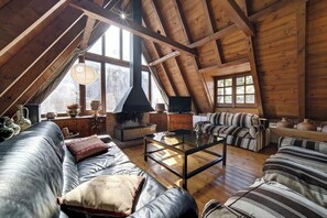 Télévision, cheminée, livres