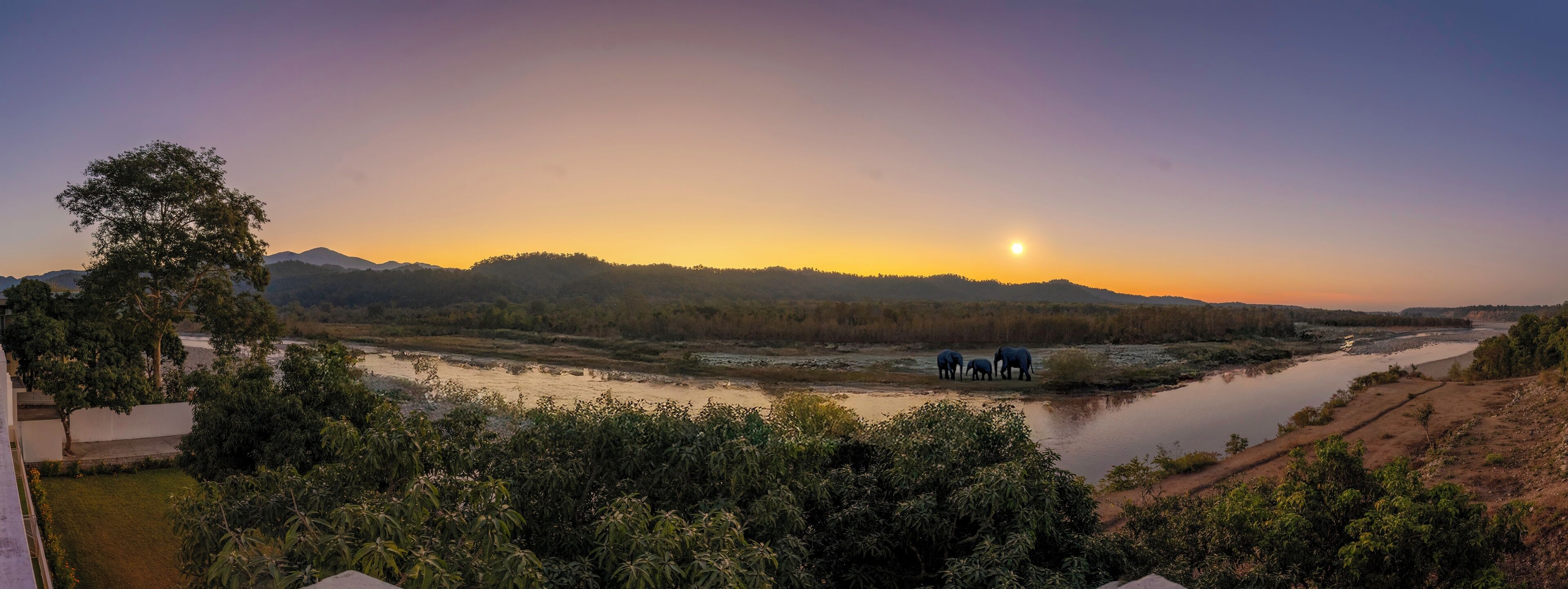 A river with elephants, a tree, and a mountain range in the background.