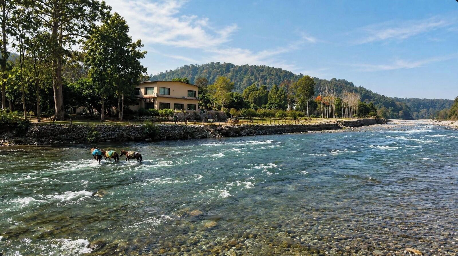 Ein Fluss mit Pferden, ein Haus und ein bewaldeter Hügel.