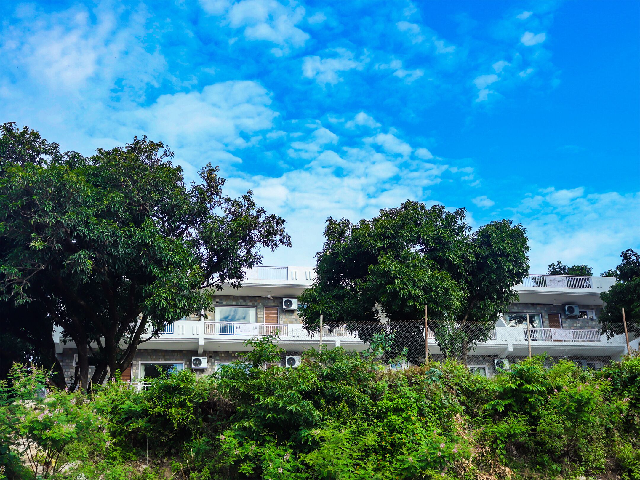 A residential building with multiple balconies, surrounded by lush greenery and trees.
