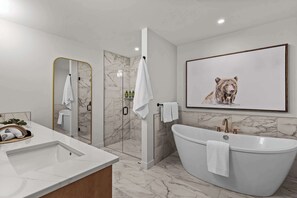 Shower, hair dryer, towels, shampoo