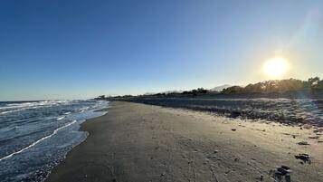 On the beach, sun-loungers