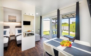 Télévision de 70 cm avec chaînes par satellite, Netflix