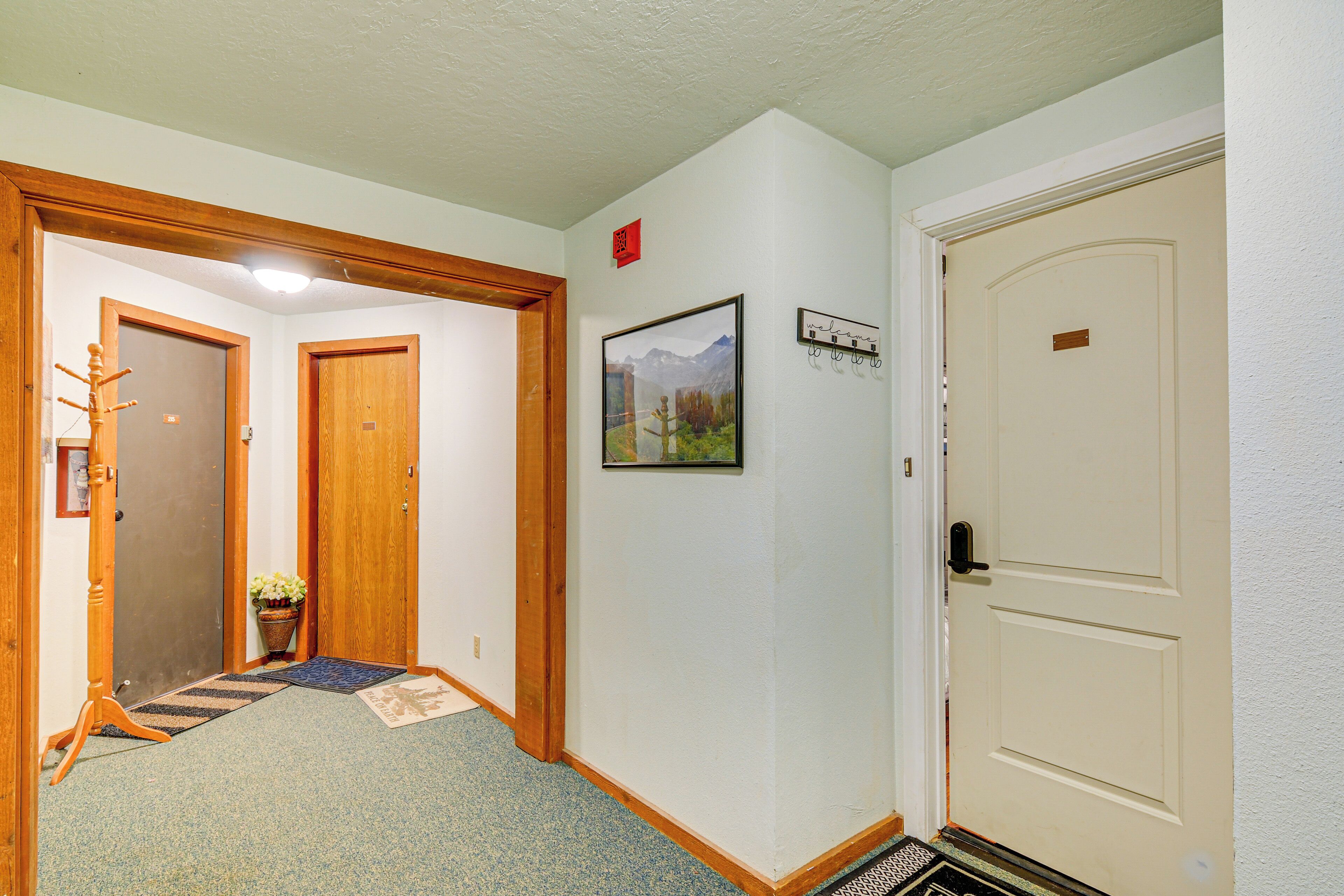 A hallway with wooden doors, a framed picture on the wall, and a potted plant.
