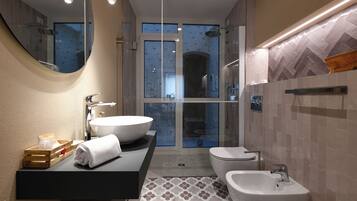 Shower, hair dryer, bidet, towels