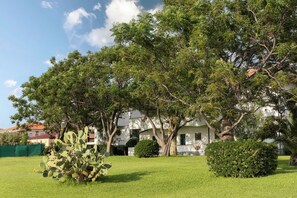 Superior Quadruple Room, Garden View | View from room