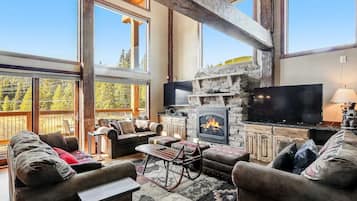 TV, fireplace, video games, DVD player