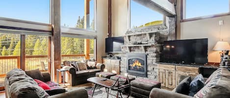 Televisión, chimenea, videojuegos, reproductor de DVD