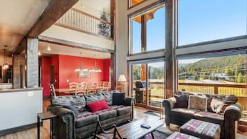 电视、壁炉、电子游戏、DVD 播放器