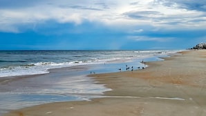 Ein Strand mit Wellen, einigen Vögeln und Gebäuden in der Ferne.