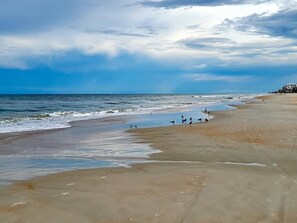 Playa