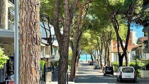 Una calle arbolada con coches aparcados y edificios a ambos lados.