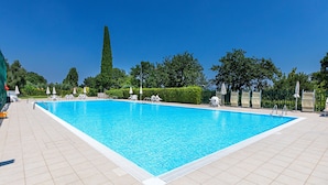 A rectangular swimming pool with a tiled deck, surrounded by white lounge chairs and umbrellas, with trees and a tall coniferous tree in the background.