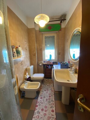 Shower, hair dryer, bidet, towels